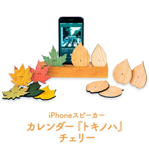 yӂ邳Ɣ[ŁzؐiPhoneXeBbNXs[J[@gLmn - Perpetual Calendar - `F[@ G CeA ؐ J_[ t Mtg
