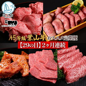 【ふるさと納税】【29の日定期便】2ヶ月連続 葉山牛 定期便 カタログ ギフト カルビ切り落し ジューシー 黒毛和牛 霜降り 赤身 肉 焼く 家族 贈り物 受賞 うし 和牛 冷凍 良質 冷凍便 送料無料 冨士屋牛肉店 神奈川県 逗子市