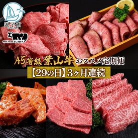 【ふるさと納税】【29の日定期便】3ヶ月連続 葉山牛 定期便 カタログ ギフト カルビ切り落し ジューシー 黒毛和牛 霜降り 赤身 肉 焼く 家族 贈り物 受賞 うし 和牛 冷凍 良質 冷凍便 送料無料 冨士屋牛肉店 神奈川県 逗子市