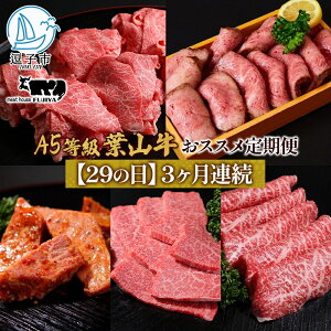 【ふるさと納税】【29の日定期便】3ヶ月連続 葉山牛 定期便 カタログ ギフト カルビ切り落し ジューシー 黒毛和牛 霜降り 赤身 肉 焼く 家族 贈り物 受賞 うし 和牛 冷凍 良質 冷凍便 送料無