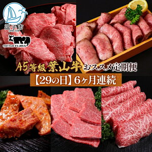 yӂ邳Ɣ[Łzy29̓ցz6A tR  J^O Mtg Jr؂藎 W[V[ јa ~ Ԑg  Ă Ƒ 蕨   a Ⓚ ǎ Ⓚ 