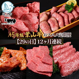 【ふるさと納税】【29の日定期便】12ヶ月連続 葉山牛 定期便 カタログ ギフト カルビ切り落し ジューシー 黒毛和牛 霜降り 赤身 肉 焼く 家族 贈り物 受賞 うし 和牛 冷凍 良質 冷凍便 送料無料 冨士屋牛肉店 神奈川県 逗子市