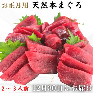 【ふるさと納税】 【お正月用】本まぐろ赤身2柵(2025年12月30日にお届け)2〜3人前