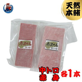 【ふるさと納税】 神奈川県漁連 天然本マグロ 中トロ・赤身セット