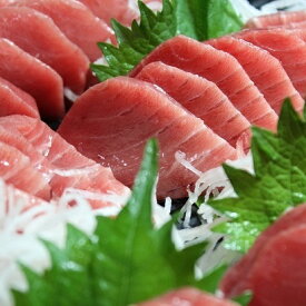 【ふるさと納税】 天然本鮪背トロ 切れてるお刺身簡単パック 100g入×3P 【数量限定】
