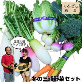 【ふるさと納税】A13-004三浦の豊（みのり）！季節の野菜詰め合わせ（冬）