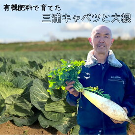【ふるさと納税】 有機肥料で育てた キャベツ と 大根 セット だいこん 野菜 葉野菜 根菜 期間限定 有機肥料 オリジナル 三崎恵水産 マグロ肥料 春 甘い 柔らかい 美味しい おいしい 三浦野菜 季節の野菜 丸徳農産 神奈川 三浦市 おすすめ ランキング プレゼント ギフト