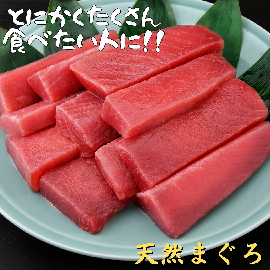 6100円 【セール】 ふるさと納税 三浦市 自家製とろみ ねぎとろ用 合計1キロ 本物の味をお届け 6100円 【セール】 ふるさと納税 三浦市 自家製とろみ ねぎとろ用 合計1キロ 本物の味をお届け