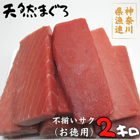 【ふるさと納税】B26-009神奈川県漁連　天然マグロ 2kg【お徳用】不揃いサク