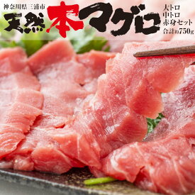 【ふるさと納税】 三崎マグロ 鈴木水産 天然本マグロ（大トロ・中トロ・赤身）セット