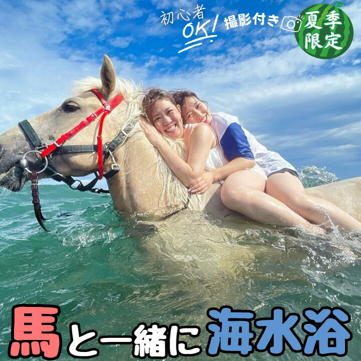 楽天市場】【ふるさと納税】 乗るだけの乗馬から、馬と一緒に楽しむ 