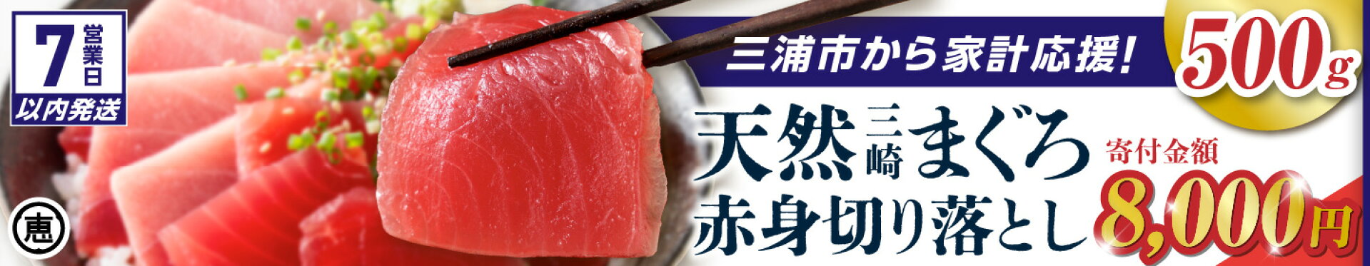 ＜選べる＞天然三崎まぐろ 赤身切落し 500g〜1kg M020-014-04