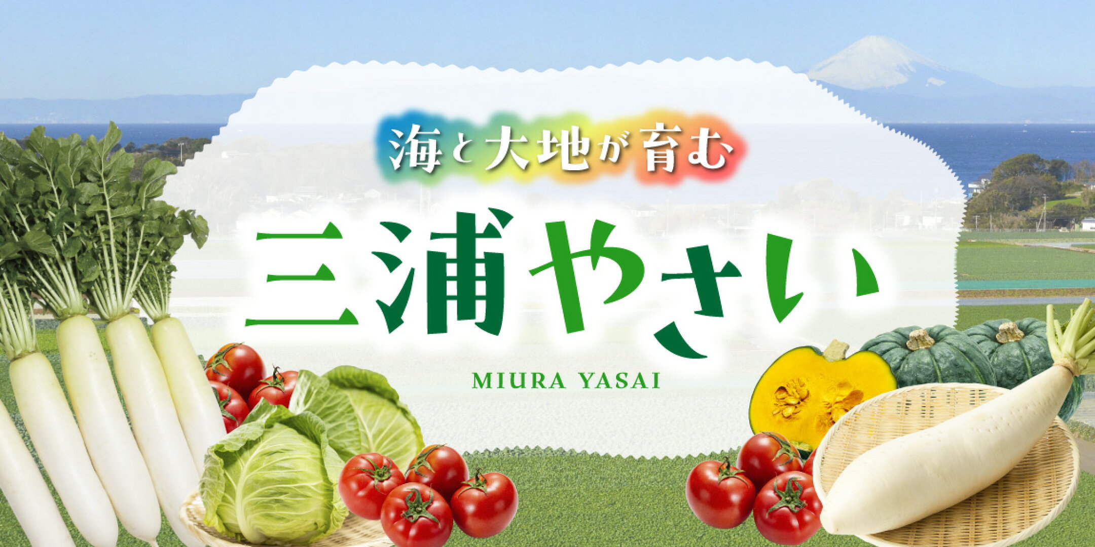 新鮮な“三浦やさい”を旬の時期にお届け