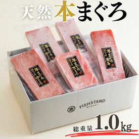 【ふるさと納税】 至極の味わい 天然本まぐろ 1kg 大トロ 200g 中トロ 400g 赤身 400g マグロ 天然 本マグロ 刺身 柵 セット 魚 魚介 冷凍 おいしい 三崎恵水産 神奈川県 三浦市 おすすめ ランキング プレゼント ギフト