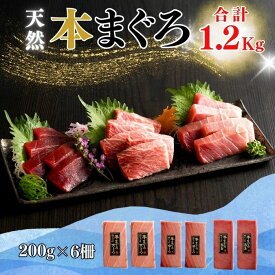 【ふるさと納税】 みんなの心彩る 天然本まぐろ 1.2kg 大トロ 400g 中トロ 400g 赤身 400g マグロ 天然 本マグロ 刺身 柵 セット 魚 魚介 冷凍 おいしい 三崎恵水産 神奈川県 三浦市 おすすめ ランキング プレゼント ギフト