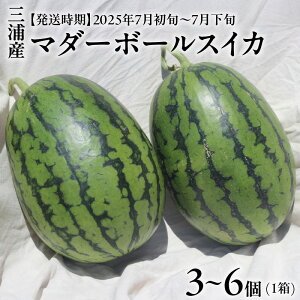 yӂ邳Ɣ[Łz }_[{[XCJ 3 ` 6 XCJ  Z t[c ʕ ʎ  W[V[ Â    lTCY  fU[g ݂݂ x Y {