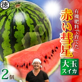 【ふるさと納税】＜選べる＞ 有機肥料で育てた 大玉 スイカ 赤い彗星 1個 or 2個 すいか 西瓜 フルーツ 果物 果実 ジューシー 甘い 夏季 数量 期間 限定 おいしい デザート みずみずしい 国産 旬の果物 贈答 丸徳農産 神奈川 三浦市 おすすめ ランキング プレゼント ギフト