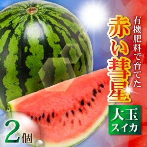 yӂ邳Ɣ[ŁzIׂ遄 L@엿ňĂ  XCJ Ԃa 1 or 2  Z t[c ʕ ʎ W[V[ Â ċG     fU[g ݂݂ Y 