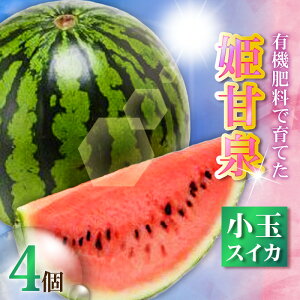 yӂ邳Ɣ[ŁzIׂ遄 L@엿ňĂ  XCJ PÐ 2 or 4  Z t[c ʕ ʎ W[V[ Â ċG     fU[g ݂݂ Y {