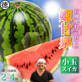 【ふるさと納税】＜選べる＞ 有機肥料で育てた 小玉 スイカ 姫甘泉 2個 or 4個 すいか 西瓜 フルーツ 果物 果実 ジューシー 甘い 夏季 数量 期間 限定 おいしい デザート みずみずしい 国産 旬の果物 贈答 丸徳農産 神奈川 三浦市 おすすめ ランキング プレゼント ギフト