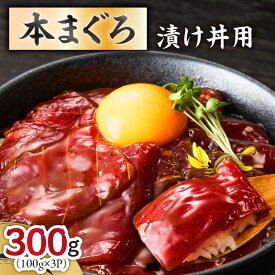 【ふるさと納税】＜選べる配送時期＞ 本まぐろ漬け丼用 100g × 3P まぐろ マグロ 鮪 本まぐろ 漬け丼 三崎 三崎港 海鮮 魚 魚介 湊魚問屋 神奈川 三浦市 おすすめ ランキング プレゼント ギフト