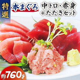 【ふるさと納税】 特選 本まぐろ 中トロ 赤身 ＋ たたき セット 760g まぐろ マグロ 鮪 本鮪 トロ ねぎとろ 三崎まぐろ 柵 刺身 魚音 神奈川県 三浦市 おすすめ ランキング プレゼント ギフト