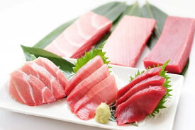 【ふるさと納税】 特選 本まぐろ 味わいづくし セット 1440g まぐろ マグロ 鮪 本鮪 大トロ 中トロ トロ 赤身 漬け 三崎まぐろ 柵 刺身 魚音 神奈川県 三浦市 おすすめ ランキング プレゼント ギフト