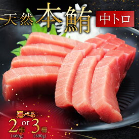 【ふるさと納税】＜選べる＞天然 本鮪 中とろ 2柵 3柵 まぐろ マグロ 鮪 三崎 三崎港 海鮮 魚 魚介 母の日 父の日 敬老の日 オーシャン・グロウ 神奈川 三浦市 おすすめ ランキング プレゼント ギフト