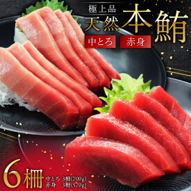 【ふるさと納税】 極上品 天然 本鮪 中とろ 3柵 赤身 3柵 まぐろ マグロ 鮪 三崎 三崎港 海鮮 魚 魚介 母の日 父の日 敬老の日 オーシャン・グロウ 神奈川 三浦市 おすすめ ランキング プレゼント ギフト