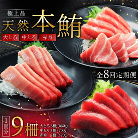 【ふるさと納税】【全8回 定期便】 極上品 天然 本鮪 大とろ 3柵 中とろ 3柵 赤身 3柵 まぐろ マグロ 鮪 定期 三崎 三崎港 海鮮 魚 魚介 母の日 父の日 敬老の日 オーシャン・グロウ 神奈川 三浦市 おすすめ ランキング プレゼント ギフト