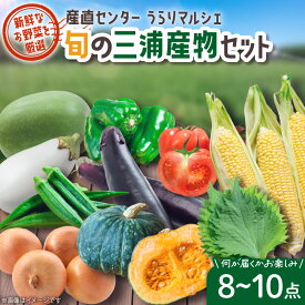 【ふるさと納税】 産直センターうらりマルシェ　 旬の三浦産物セット 野菜 旬 新鮮 朝獲れ 野菜ソムリエ 厳選 農家 国産 セット 詰合せ おいしい サラダ 天ぷら 煮物 汁もの 三浦海業公社 神奈川県 三浦市 おすすめ ランキング プレゼント ギフト