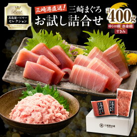 【ふるさと納税】【高島屋バイヤーセレクション】 三崎まぐろ お試し 詰合せ 400g 鮪 まぐろ 中トロ 赤身 柵 すきみ ねぎとろ メバチマグロ 刺身 魚 高島屋 神奈川県 三浦市 おすすめ ランキング プレゼント ギフト