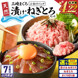 【ふるさと納税】【7営業日以内に発送】＜選べる配送時期・種類・容量＞ 天然 三崎まぐろ 漬け ねぎとろ 切り身 セット 計500g or 1kg マグロ 鮪 刺身 たたき 大容量 魚 神奈川県漁連 神奈川県漁業協同組合連合会 神奈川 三浦市 おすすめ ランキング プレゼント ギフト