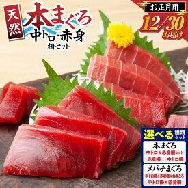 【ふるさと納税】＜種類と容量が選べる＞ 年内発送 天然 本マグロ メバチマグロ 中トロ 赤身 ねぎとろ セット お正月用 12月30日お届け 鮪 まぐろ 刺身 年末 年始 期間限定 神奈川県漁連 神奈川県漁業協同組合連合会 神奈川県 三浦市 おすすめ ランキング プレゼント ギフト