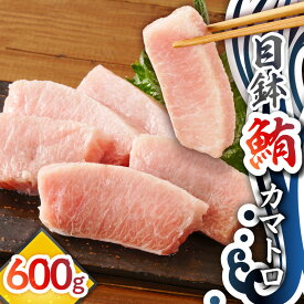 【ふるさと納税】目鉢鮪 カマトロ 600g マグロ 鮪 まぐろ 目鉢まぐろ 目鉢マグロ 脂カマ 希少部位 希少 しゃぶしゃぶ 刺身 まぐろ通 人気 美味しい おいしい 贅沢 ご褒美 テイ・エス・シイ 神奈川県 三浦市 おすすめ ランキング プレゼント ギフト
