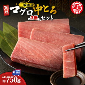 【ふるさと納税】 三崎マグロ 鈴木水産 天然マグロ 中トロ 3柵 セット 750g マグロ まぐろ 鮪 トロ 目鉢マグロ メバチマグロ 天然 おいしい 三崎まぐろ 刺身 寿司 カルパッチョ かつ ユッケ パスタ ツナ ふるさと納税 神奈川県 三浦市 おすすめ ランキング プレゼント ギフト