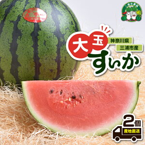 yӂ邳Ɣ[Łzys\z _ސ쌧 OYsY ʂ 2  XCJ Z  ʕ t[c OYs_Ƌg _ސ쌧 OYs  LO v[g Mtg