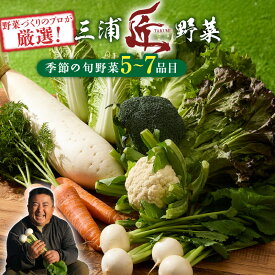 【ふるさと納税】 三浦の匠野菜 セット 野菜 かぶ 大根 サニーレタス ブロッコリー カリフラワー キャベツ 季節の野菜 旬 三浦かぶ 三浦大根 詰め合わせ 詰合せ 期間限定 限定 新鮮 ピーカブー 神奈川県 三浦市 おすすめ ランキング プレゼント ギフト