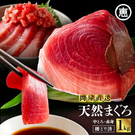 【ふるさと納税】 とにかくまぐろの質に自信あり 問屋直送 天然三崎まぐろ 1kg 中トロ 赤身 マグロ 鮪 メバチマグロ 赤身 刺身 魚 魚介 冷凍 おいしい 天然 数量限定 三崎恵水産 神奈川県 三浦市 おすすめ ランキング プレゼント ギフト