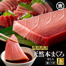 【ふるさと納税】 まぐろ専門 の 老舗問屋 からお届け とろける 上質 天然本まぐろ 中トロ 1kg分 赤身 マグロ 天然 本マグロ 赤身 刺身 魚 魚介 冷凍 おいしい 数量限定 三崎恵水産 神奈川県 三浦市 おすすめ ランキング プレゼント ギフト