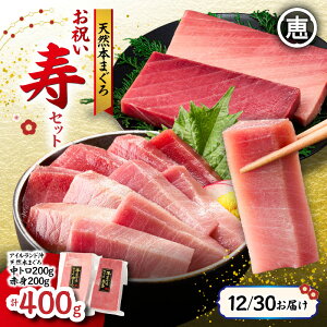 yӂ邳Ɣ[ŁzeʂƂ͂Iׂ遄yNEpz VR ܂ j Zbg 400g ` 1kg g Ԑg {܂ ڔ܂ }O  o`}O ubN }t hg  Ⓚ 