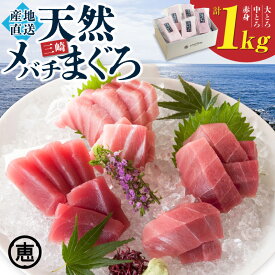 【ふるさと納税】 至福のひと時 天然 目鉢まぐろ 1kg 大トロ 200g 中トロ 400g 赤身 400g マグロ 鮪 メバチマグロ 切落し 赤身 刺身 魚 魚介 冷凍 おいしい 三崎恵水産 神奈川県 三浦市 おすすめ ランキング プレゼント ギフト