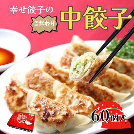 【ふるさと納税】ボリューム満点こだわり中餃子60個入り｜餃子 冷凍 お取り寄せ 国産 国産野菜 国産豚肉 おいしい ブランド豚 冷凍餃子 大容量 水餃子 大餃子 小分け おかず 中華 家族 お弁当 名水 点心 簡単 もちもち 秦野 神奈川【配送不可地域：離島・沖縄県】