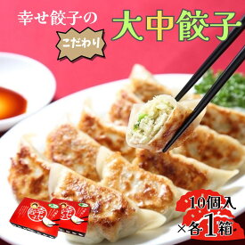 【ふるさと納税】幸せ餃子のこだわり大・中餃子(各1箱)｜餃子 冷凍 お取り寄せ 国産 国産野菜 国産豚肉 おいしい ブランド豚 冷凍餃子 水餃子 大餃子 小分け おかず 中華 家族 お弁当 名水 点心 簡単 もちもち 秦野 神奈川【配送不可地域：離島】