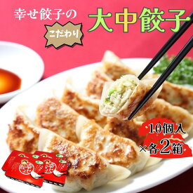 【ふるさと納税】ボリューム満点こだわり大・中餃子(4箱)｜餃子 冷凍 お取り寄せ 国産 国産野菜 国産豚肉 おいしい ブランド豚 冷凍餃子 水餃子 大餃子 小分け おかず 中華 家族 お弁当 名水 点心 簡単 もちもち 秦野 神奈川【配送不可地域：離島・沖縄県】