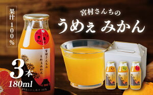 yӂ邳Ɣ[ŁzNtI`Y݂Xg[gW[X(3{) | ܂ _ ʕ ݂ fU[g ʏ`100 肽 VN   IWW[X tbV k {