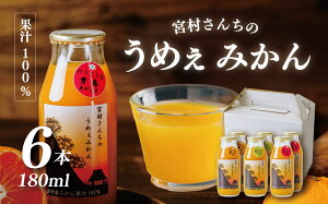 yӂ邳Ɣ[ŁzNztI`Y݂Xg[gW[X(6{) | ܂ _ Zbg ݂ ʏ`100 肽 VN   IWW[X tbV k { Xg