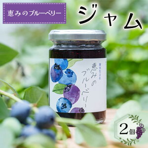【ふるさと納税】ブルーベリージャム「恵みのブルーベリー」2個 / 果物 フルーツ 無添加 無着色 無香料 送料無料 神奈川県