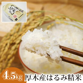 【ふるさと納税】厚木産はるみ精米　4.5kg ／ お米 ブランド米 特A 送料無料 神奈川県