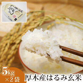 【ふるさと納税】厚木産はるみ玄米　5kg×2袋 ／ お米 ブランド米 特A 健康 送料無料 神奈川県